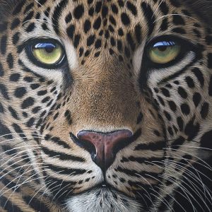 Night Hunter
