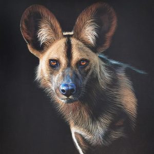The Painted Dog