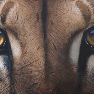 In the Eye of the Hunter