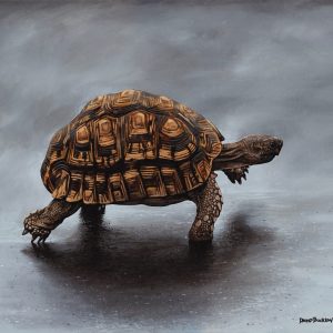 The Survivor (700x600mm)