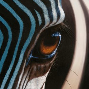 Zebra eye