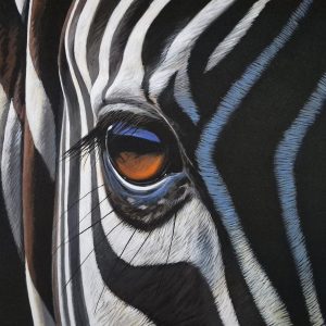 Zebra eye landscape (1020 x 760mm)