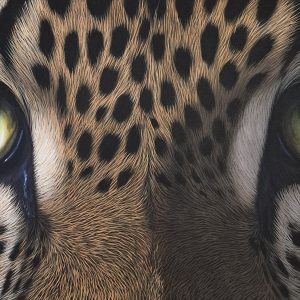 Leopard eyes (2000mm x 1000mm)