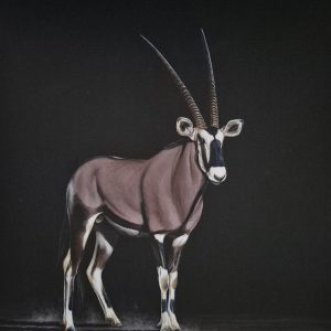 Gemsbok (1020x760mm)