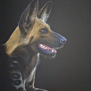 The painted dog (1020x760mm)