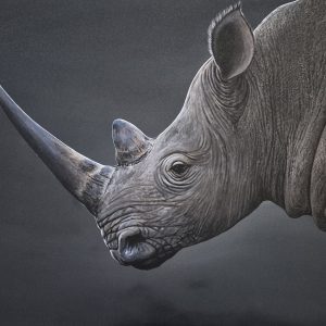 Chilling by the river (Mlambane river)