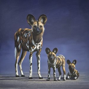 Inquisitive (1020x760mm)