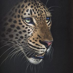 Leopard (760x610mm)