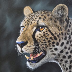 Golden gaze 1020x 760mm