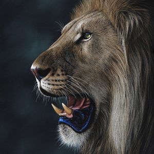 Old boy 1020x760mm