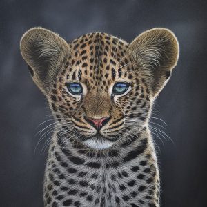 Leopard cub 1020x760mm