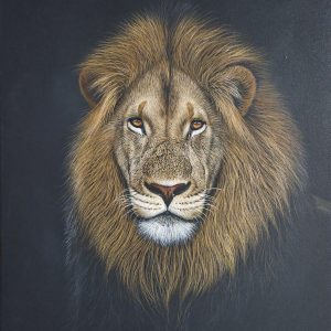Monarch of the pride 1020x760mm