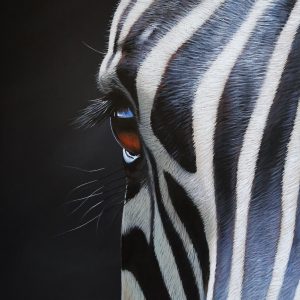 Striped horse 1020x760mm