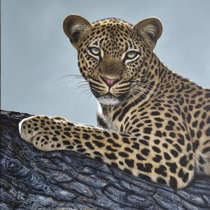 The lazy leopard (1020x760mm)