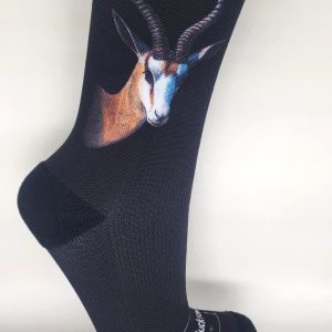 Springbok