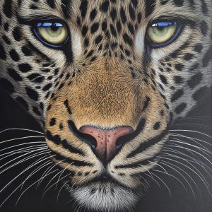Face of the wild (1020x760mm)