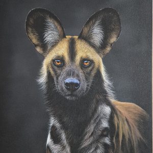 One of the pack (1020x760mm)