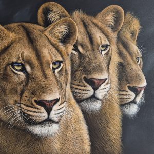 The Young Pride (1500x1000mm)